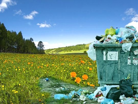 5000 zł grzywny za zaśmiecanie