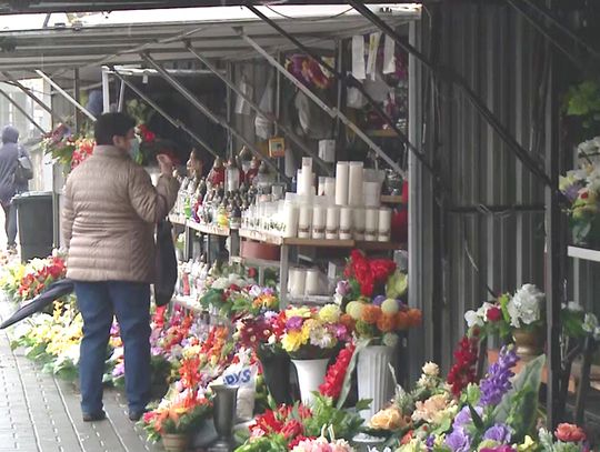 ARiMR pomoże posiadaczom chryzantem