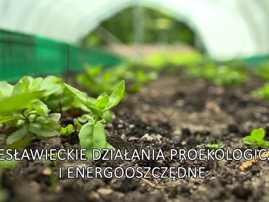 Bolesławieckie działania proekologiczne