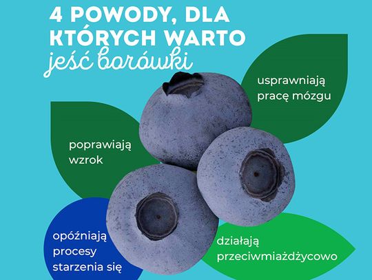 Borówki chronią przed upałem