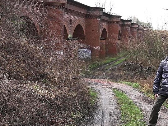 Bożnów