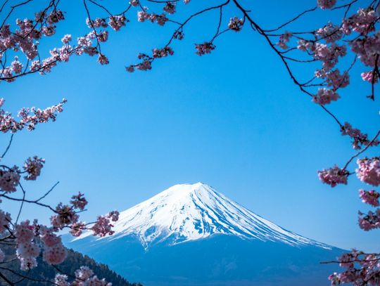 Dlaczego dobrze jest skorzystać z biura podróży przy planowaniu wyprawy do Japonii?