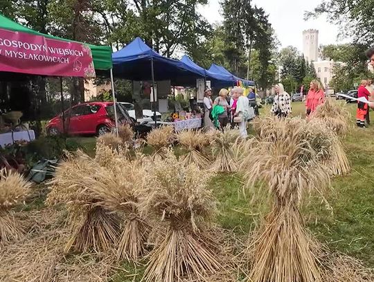 Dożynki w Mysłakowicach