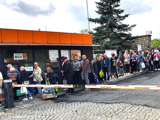 Elektrośmieci za sadzonki