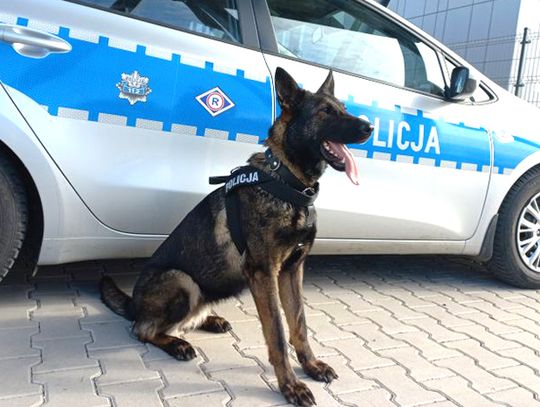 Forma w bolesławieckiej Policji