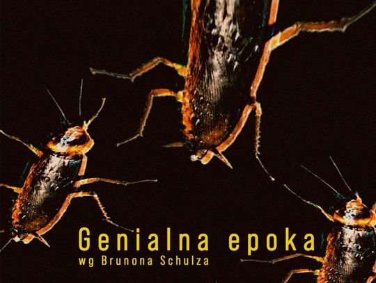 „Genialna epoka” w ramach Dolnośląskiego Festiwalu Nauki