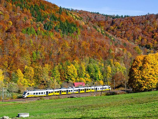 KD na Święto Niepodległości KD na Święto Niepodległości