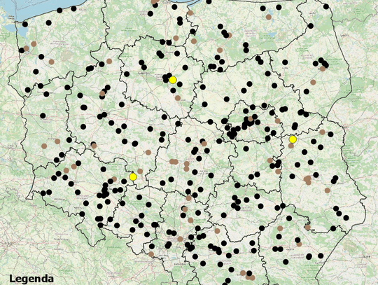 Mapa wypadków śmiertelnych