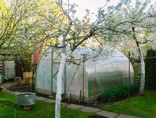 Montaż folii na tunel ogrodowy krok po kroku ? jak poprawnie naciągnąć i zamocować folię?