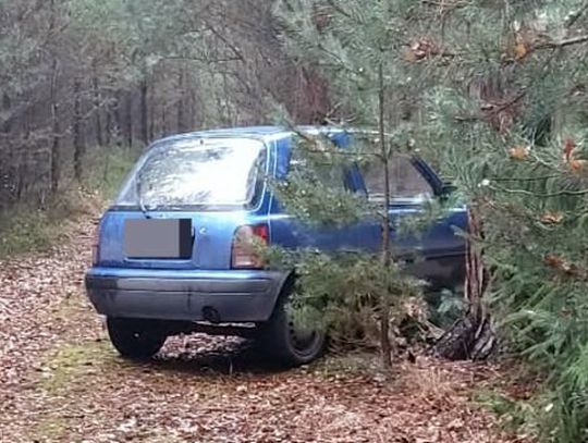 Narkotyki i kradzież