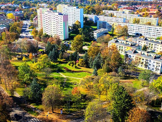 Odnowią miejski park