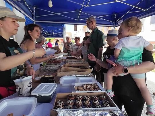 Piknik na Staszica