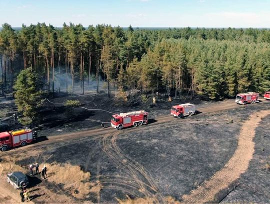 Pożary lasów