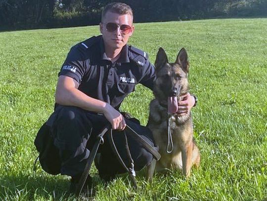 Raga szkoli się do służby w bolesławieckiej Policji
