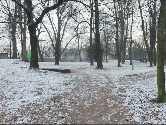 Rewitalizacja parku przy Zgorzeleckiej