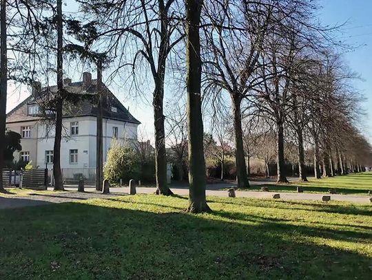 Rewitalizacja zgorzeleckich parków