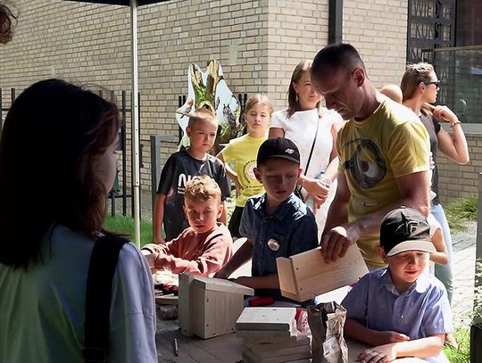 Rój Wiedzy