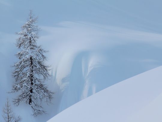 Rozstrzygnięty konkurs fotograficzny