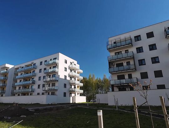 Rynek mieszkaniowy w Bolesławcu