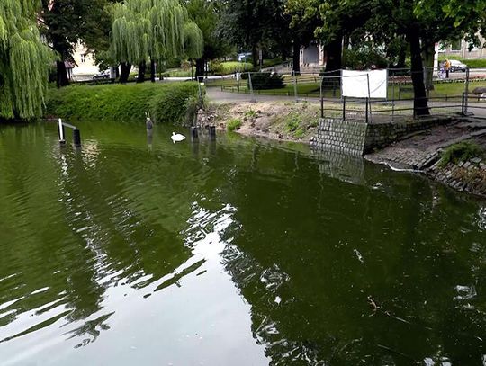 Staw przy Bankowej