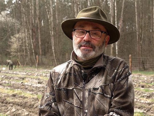 Szop pracz zagrożeniem