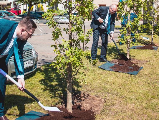 Wojewódzkie obchody Dnia Samorządności