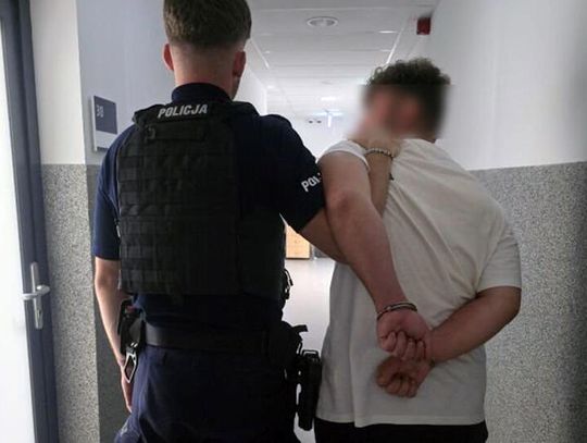 Znieważył policjantów