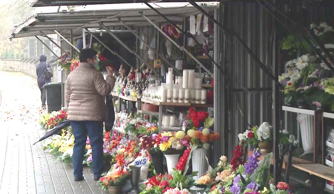 ARiMR pomoże posiadaczom chryzantem