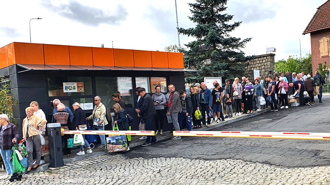 Elektrośmieci za sadzonki