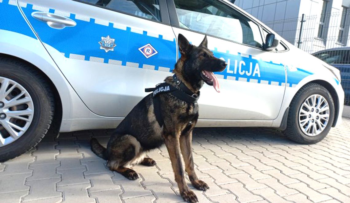 Forma w bolesławieckiej Policji