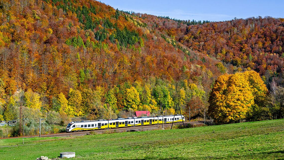 KD na Święto Niepodległości KD na Święto Niepodległości